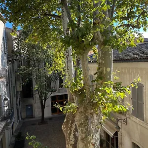  Appartement La Charmante Du Palais Des Papes